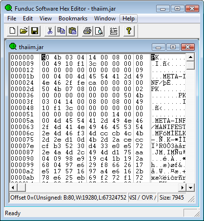 binary editor windows